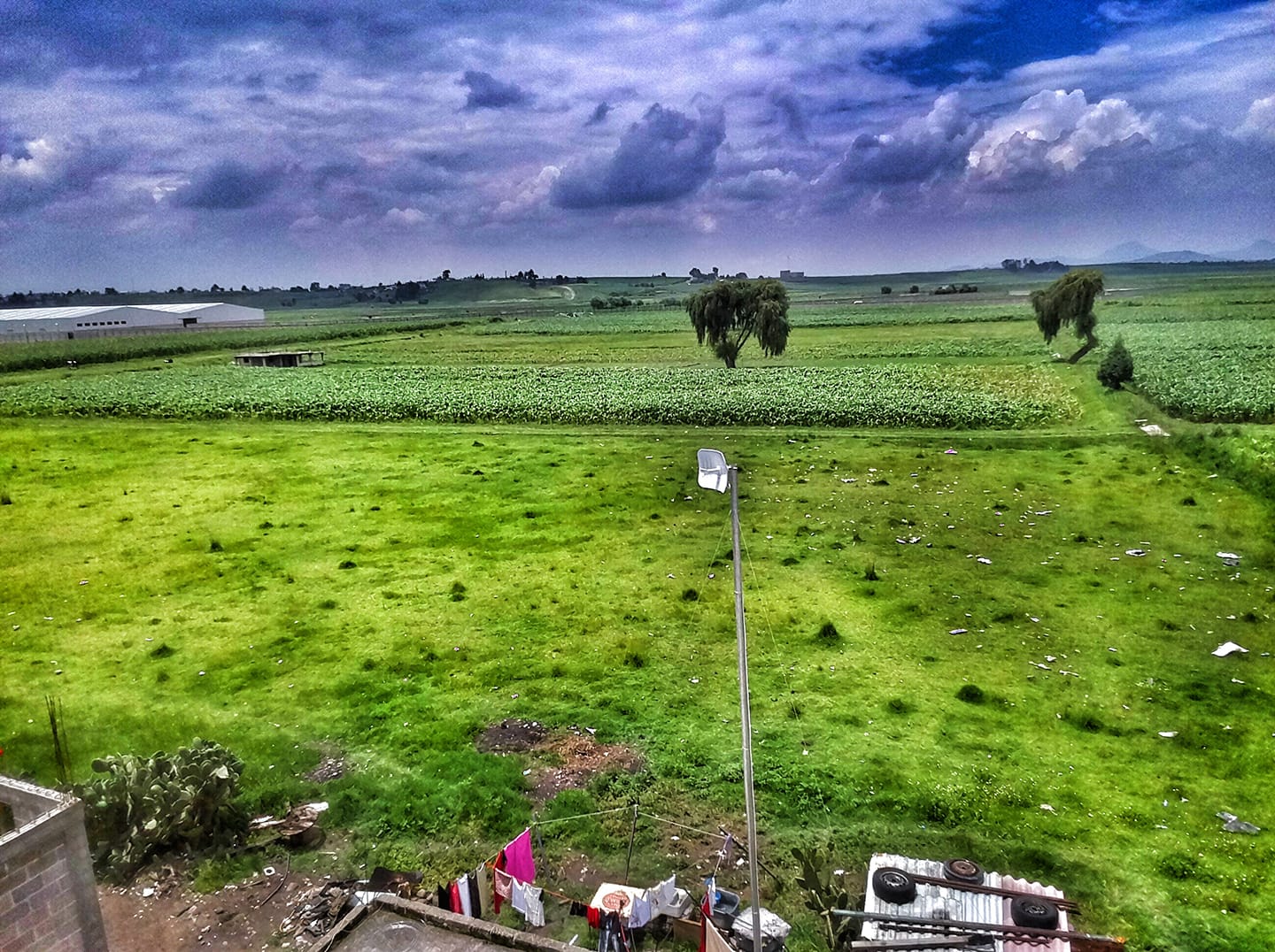 Equipo de monitoreo de red